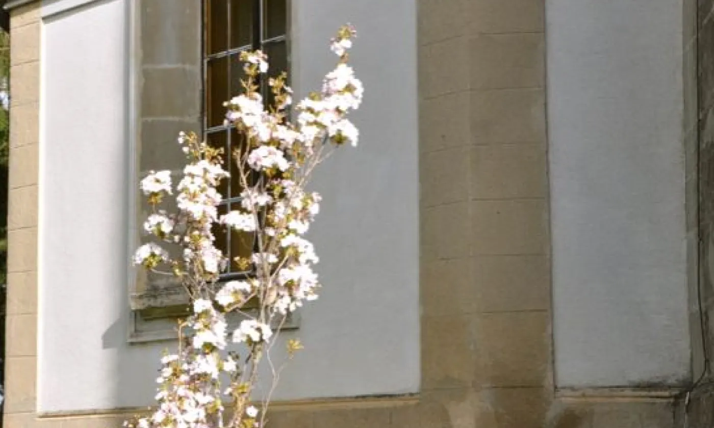 Alexandra Urfer Jungen