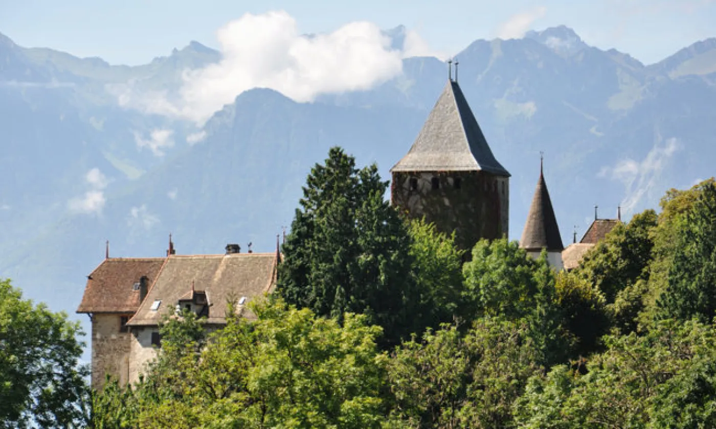 Alexandra Urfer Jungen