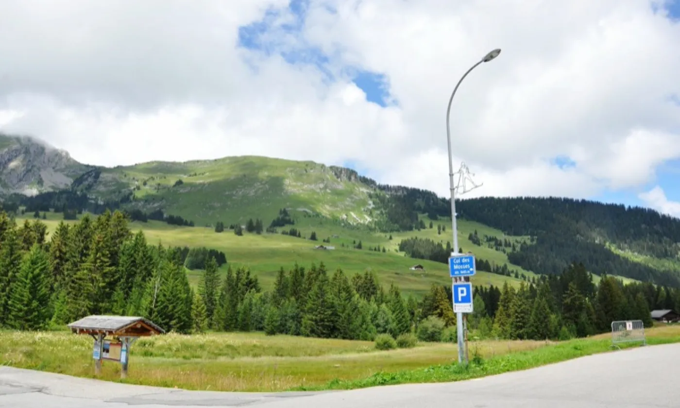 Alexandra Urfer Jungen