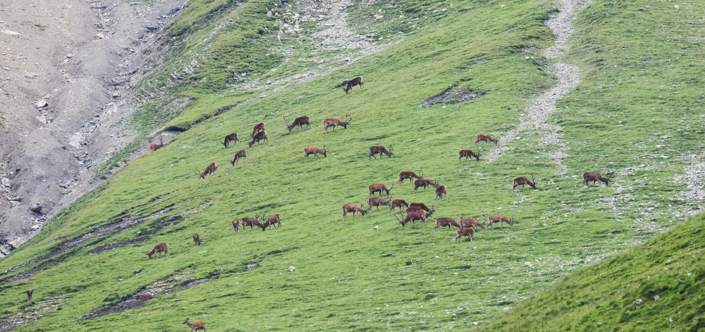 ©Parc national suisse